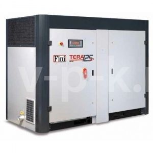 Винтовой компрессор Fini TERA SD 10008 Винтовой компрессор Fini TERA SD 10008 фото