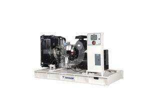 Дизельный генератор TEKSAN TJ140PE CROMPTON  Дизельный генератор TEKSAN TJ140PE CROMPTON  фото