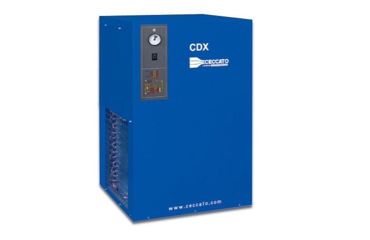 CDX