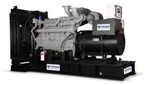 Дизельный генератор TEKSAN TJ1900MS5C  Дизельный генератор TEKSAN TJ1900MS5C  фото