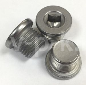 R 024W115II Пробка слива масла W115II для w115-16 (16 бар) фото