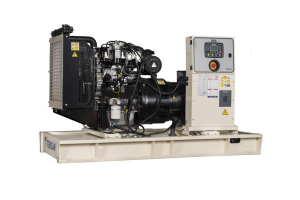 Дизельный генератор TEKSAN TJ45PE CROMPTON  Дизельный генератор TEKSAN TJ45PE CROMPTON  фото