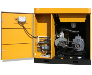 Винтовой компрессор Berg ВК-45Р 16 (IP54) ременной фото