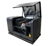 Газовый генератор  GM 12000