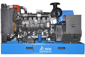 Дизельный генератор ТСС АД-100С-Т400-1РМ19 с АВР (двиг. TSS Diesel TDK-N 110 4LT) 032732 фото