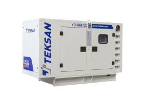 Дизельный генератор TEKSAN TJ45PE CROMPTON в кожухе  Дизельный генератор TEKSAN TJ45PE CROMPTON в кожухе  фото
