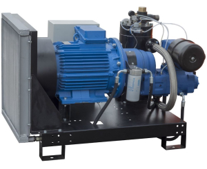 Винтовой компрессор Арсенал ЗИФ-СВЭ-10,6/0,7 без кожуха Винтовой компрессор Арсенал ЗИФ-СВЭ-10,6/0,7 без кожуха фото