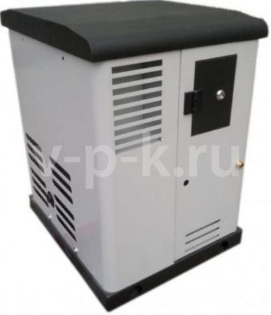 Газовый генератор REG ARCTIC GG10-230S (9,0 кВт)
